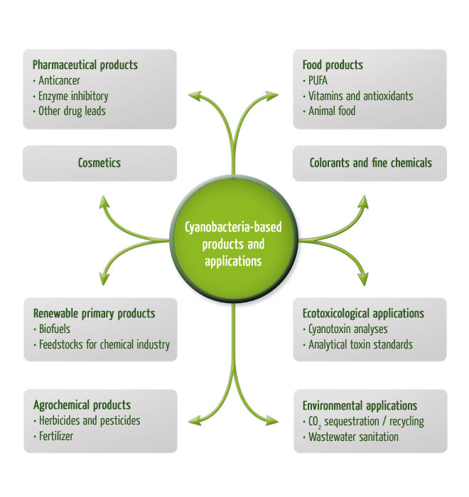 diagramm_mission_1
